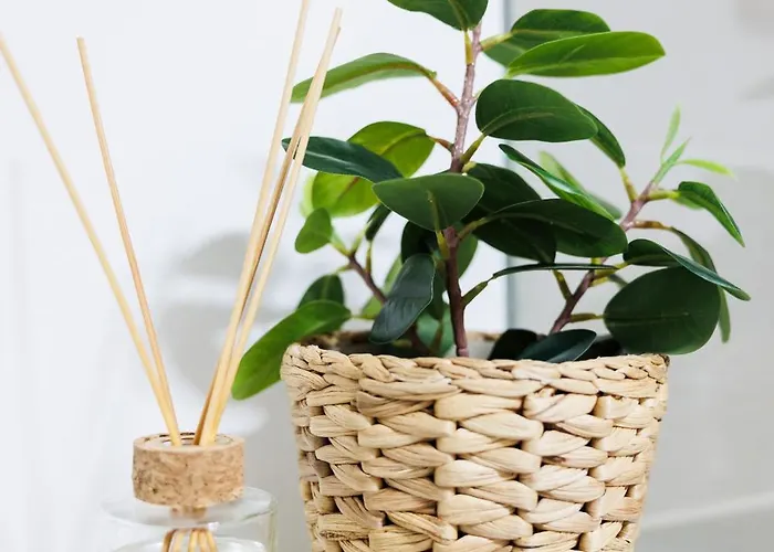 Apartmán Boho - Augarten Terrace *